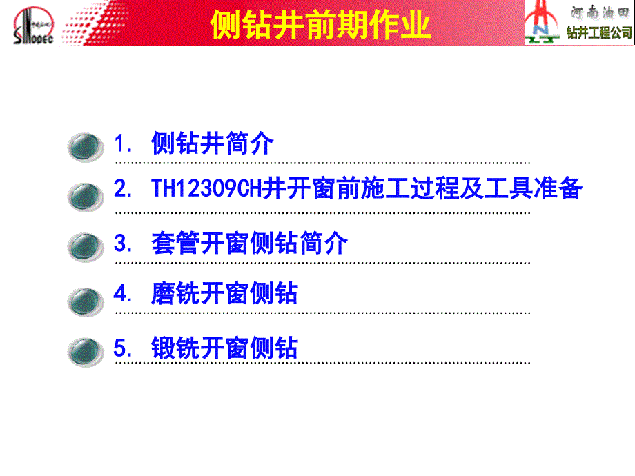 塔河工区侧钻井前期作业_第2页