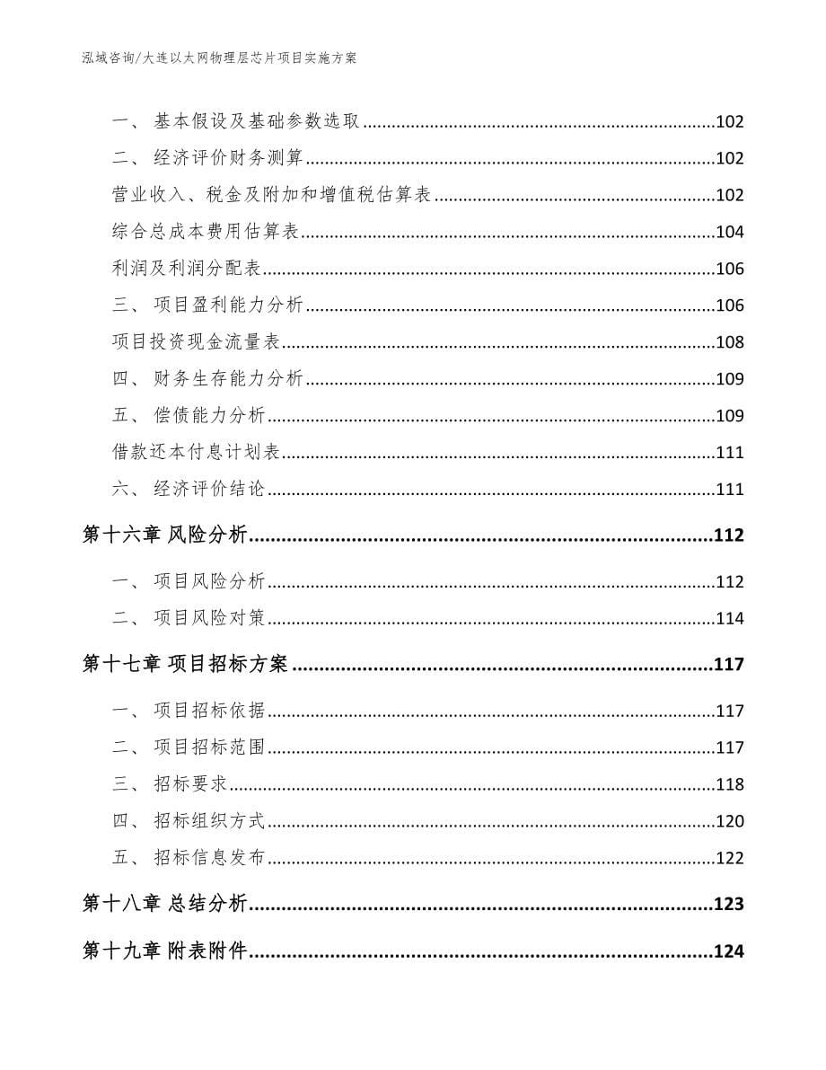 大连以太网物理层芯片项目实施方案_第5页