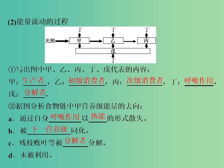 2019年高中生物第5章第2节生态系统的能量流动课件新人教必修3 .ppt_第3页