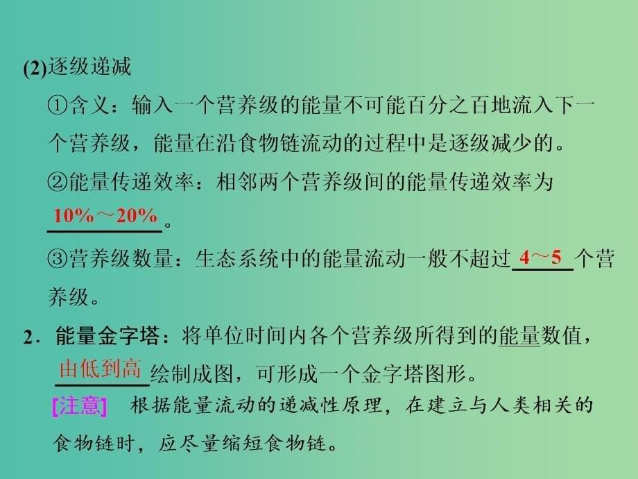 2019年高中生物第5章第2节生态系统的能量流动课件新人教必修3 .ppt_第5页