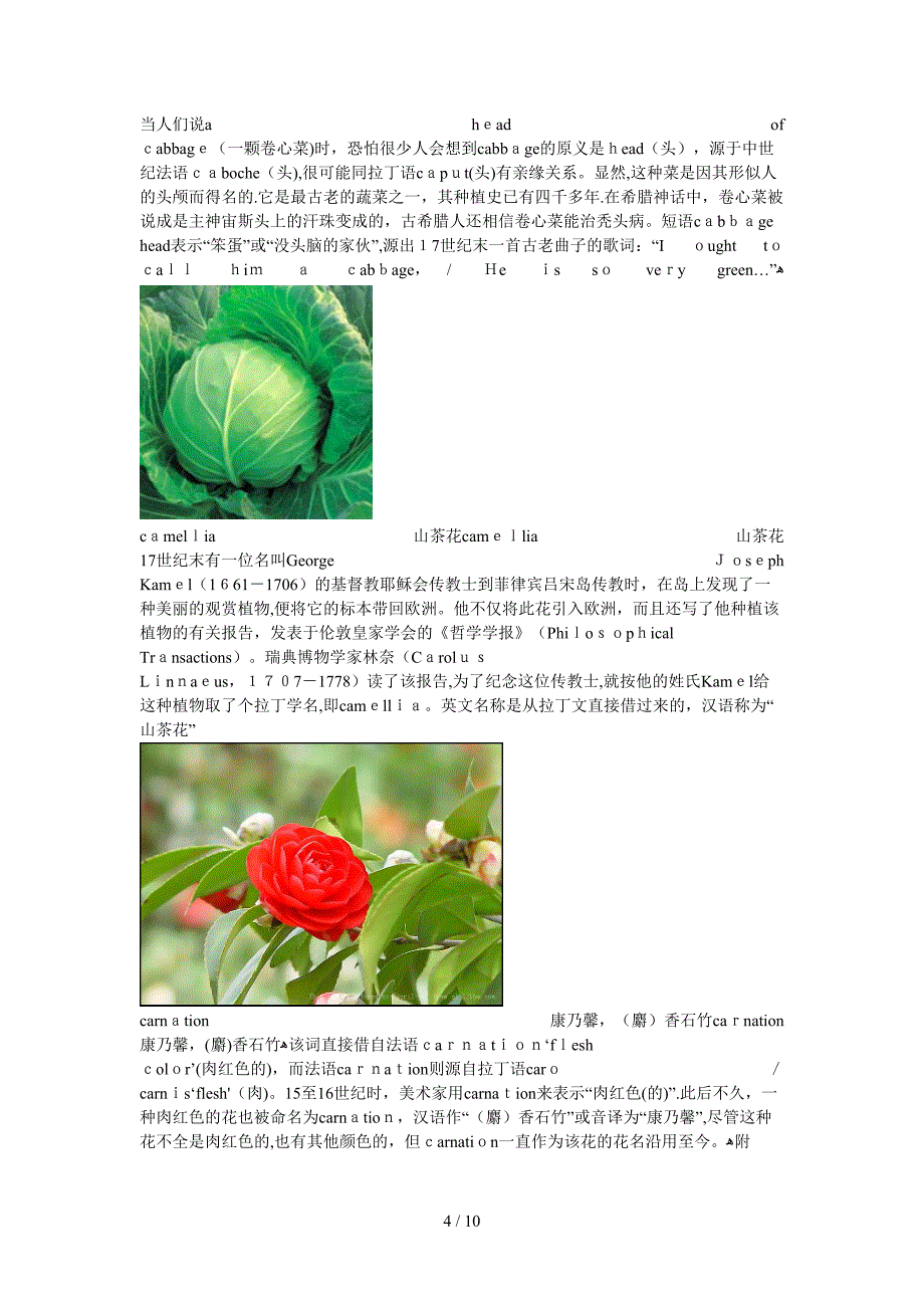植物英文名称来源_第4页