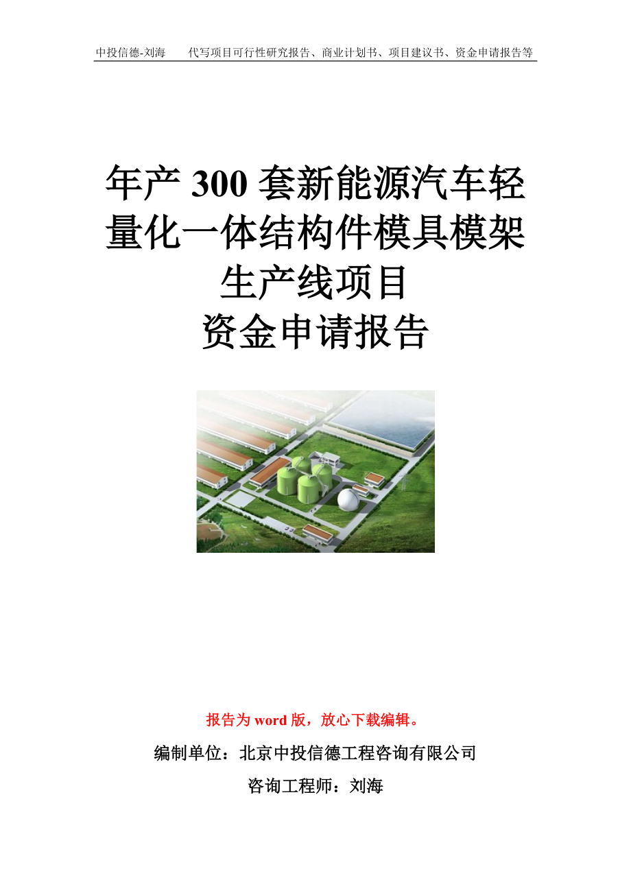 年产300套新能源汽车轻量化一体结构件模具模架生产线项目资金申请报告模板_第1页