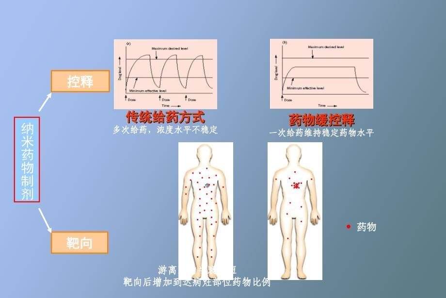 纳米生物技术_第5页