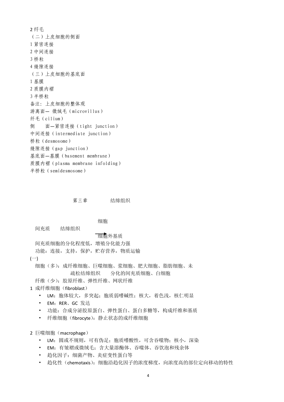 组织与胚胎学笔记.doc_第4页