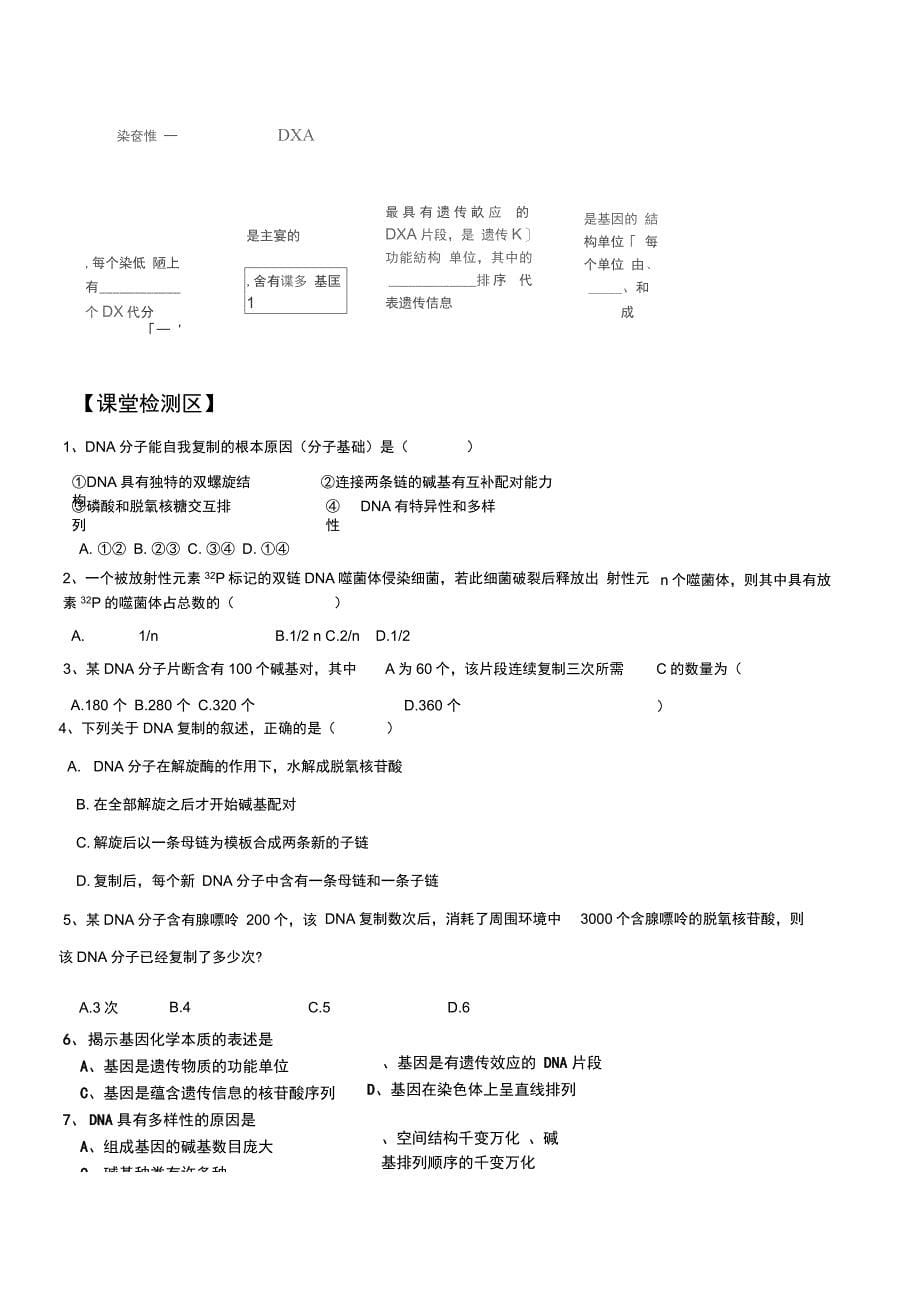 第三节DNA的复制导学案(可以)#(精选.)_第5页