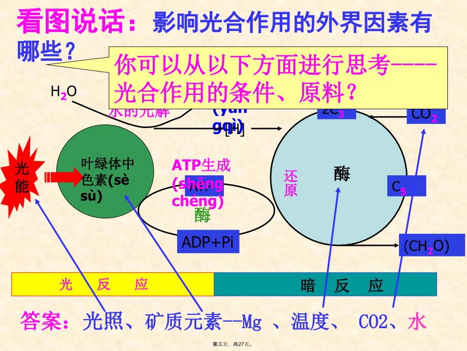 影响光合作用的外界因素教案资料_第3页