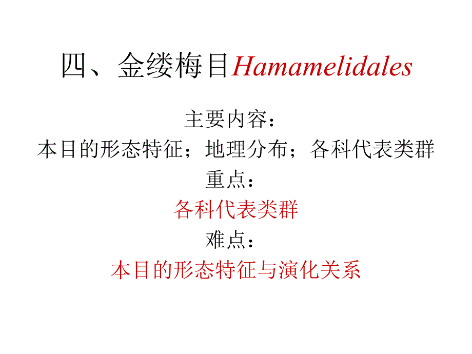 植物学教学课件：金缕梅目Hamamelidales_第1页