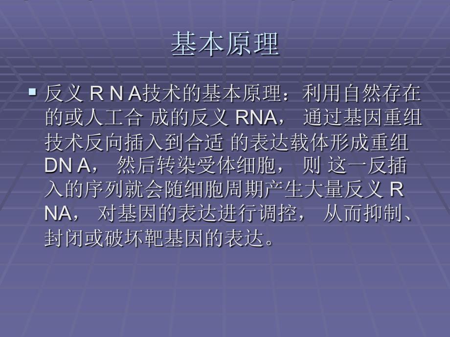 反义RNA的原理及其应用.ppt_第3页