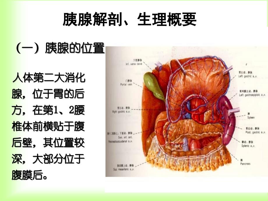 急性胰腺炎患者的护理课件_第3页