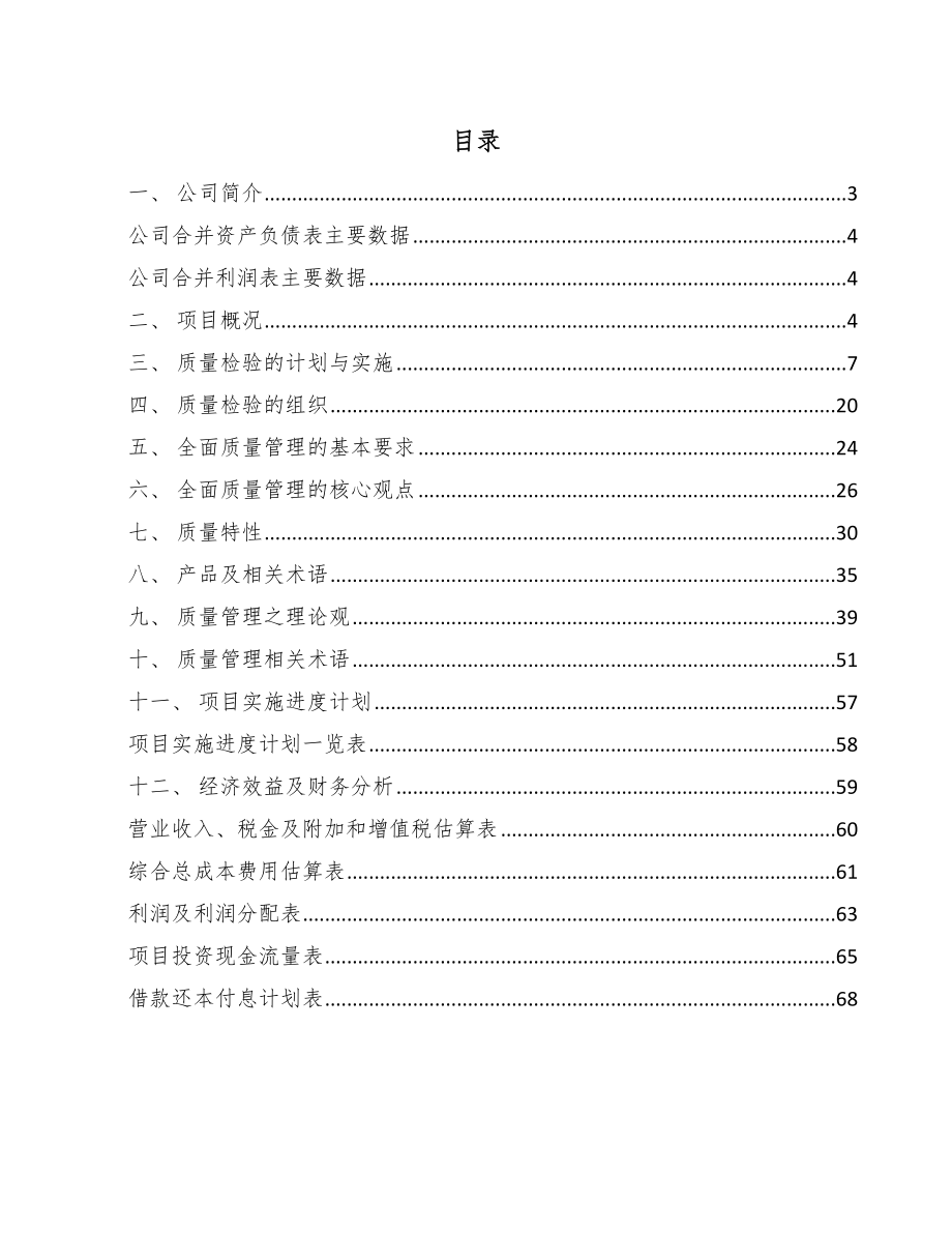 高透抗刮保护膜项目质量检验组织与管理_第2页