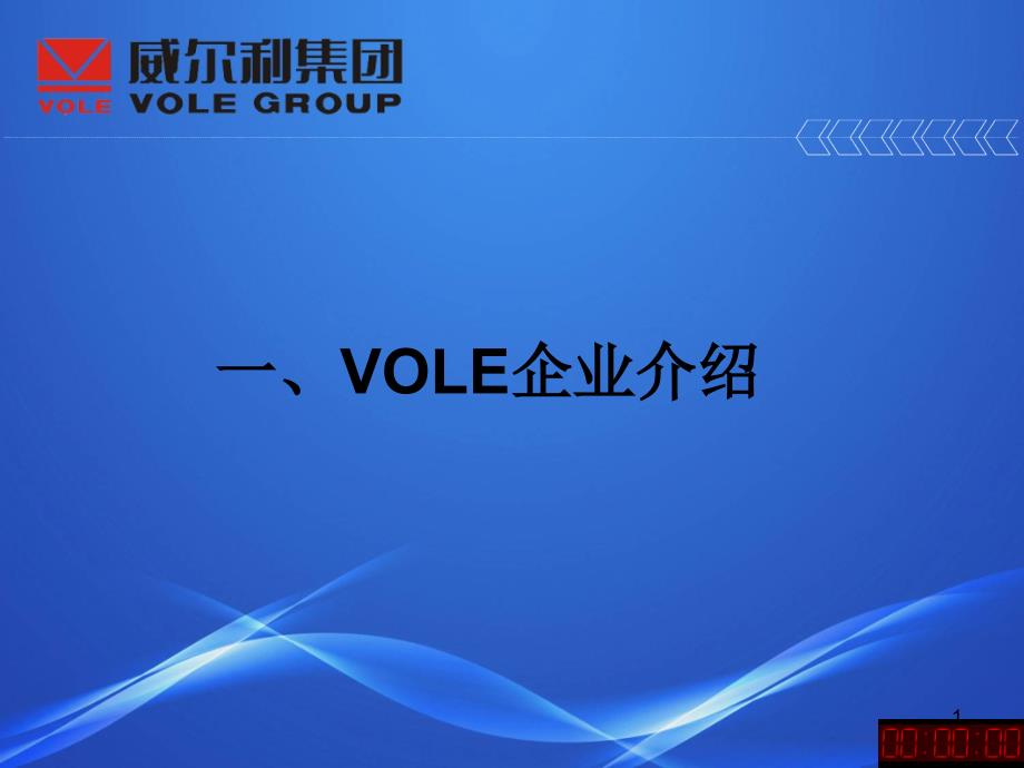 VOLE企业介绍_第1页