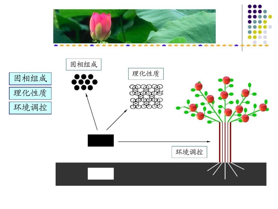 植物生长的土壤环境课件_第3页