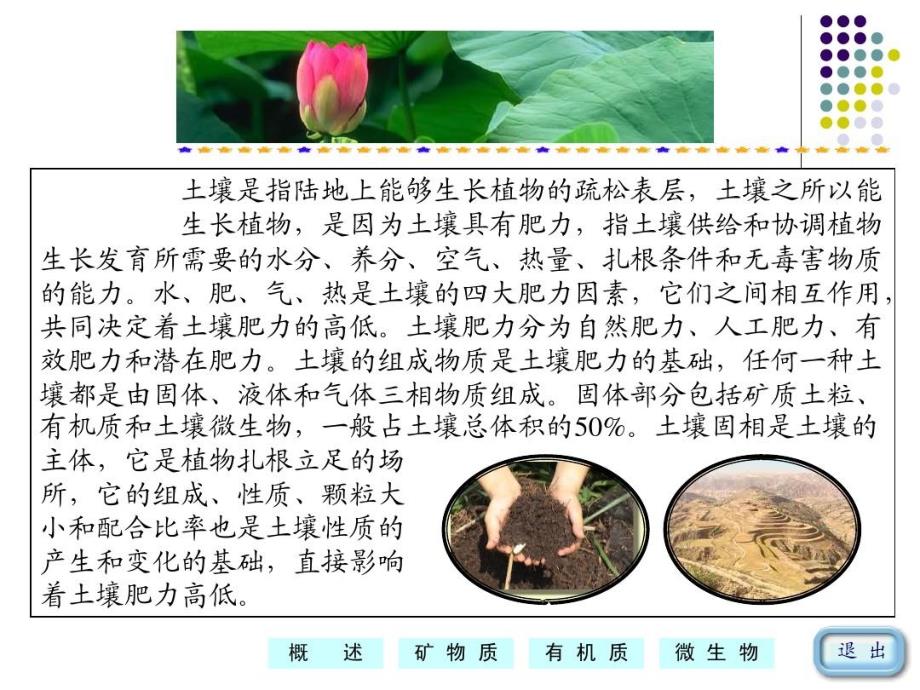 植物生长的土壤环境课件_第4页