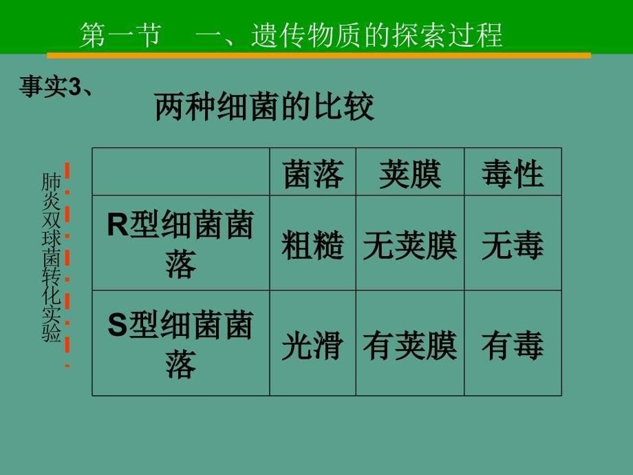 DNA是主要遗传物质1ppt课件_第5页