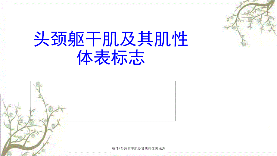 项目6头颈躯干肌及其肌性体表标志_第1页