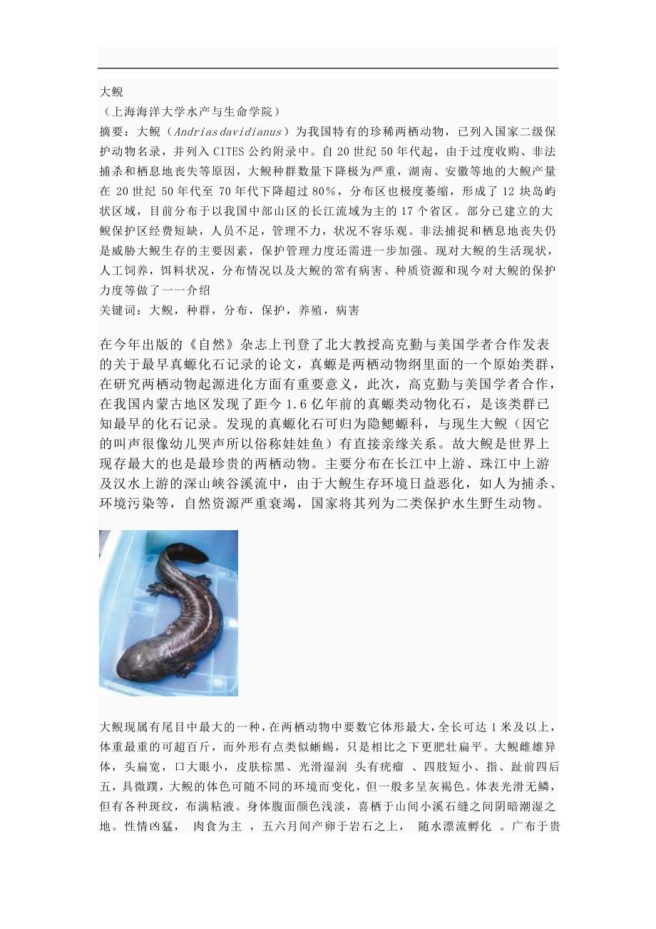 大鲵(娃娃鱼).doc_第1页