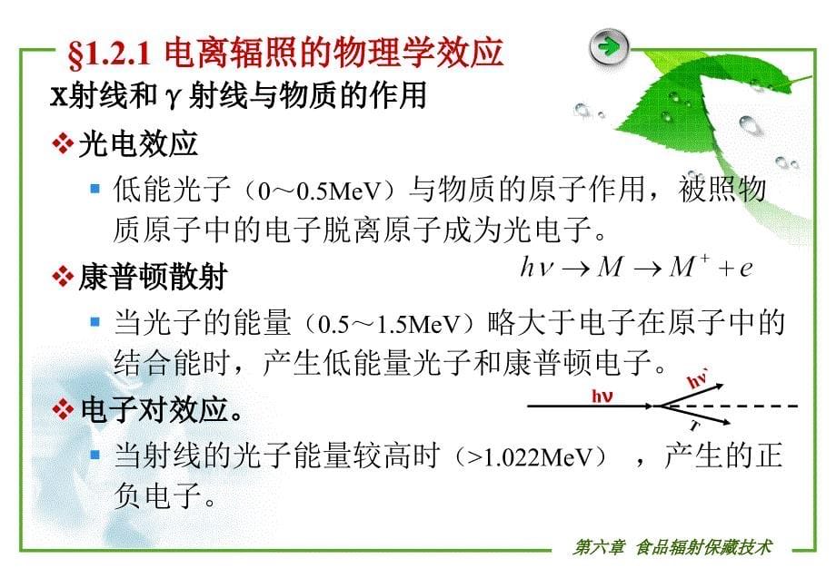 食品辐射保藏技术_第5页