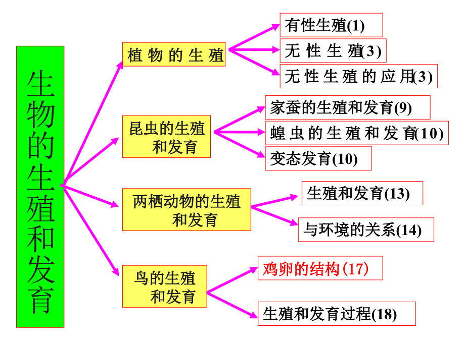 八年级下册生物复习课件教学资料_第2页