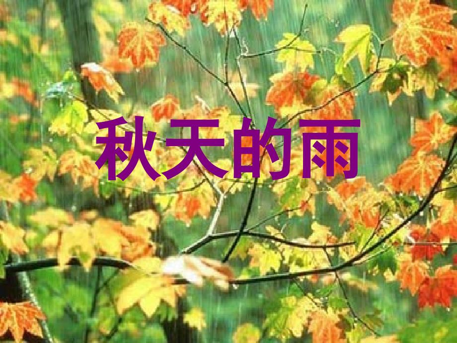 《秋天的雨》PPT课件_第1页