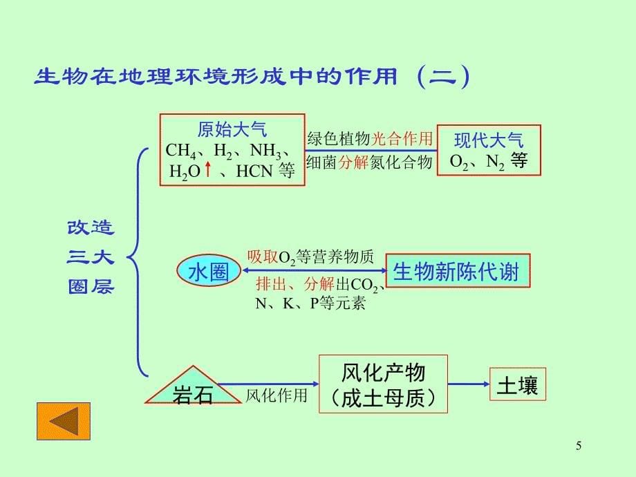 地球上的生物土壤和自然带_第5页