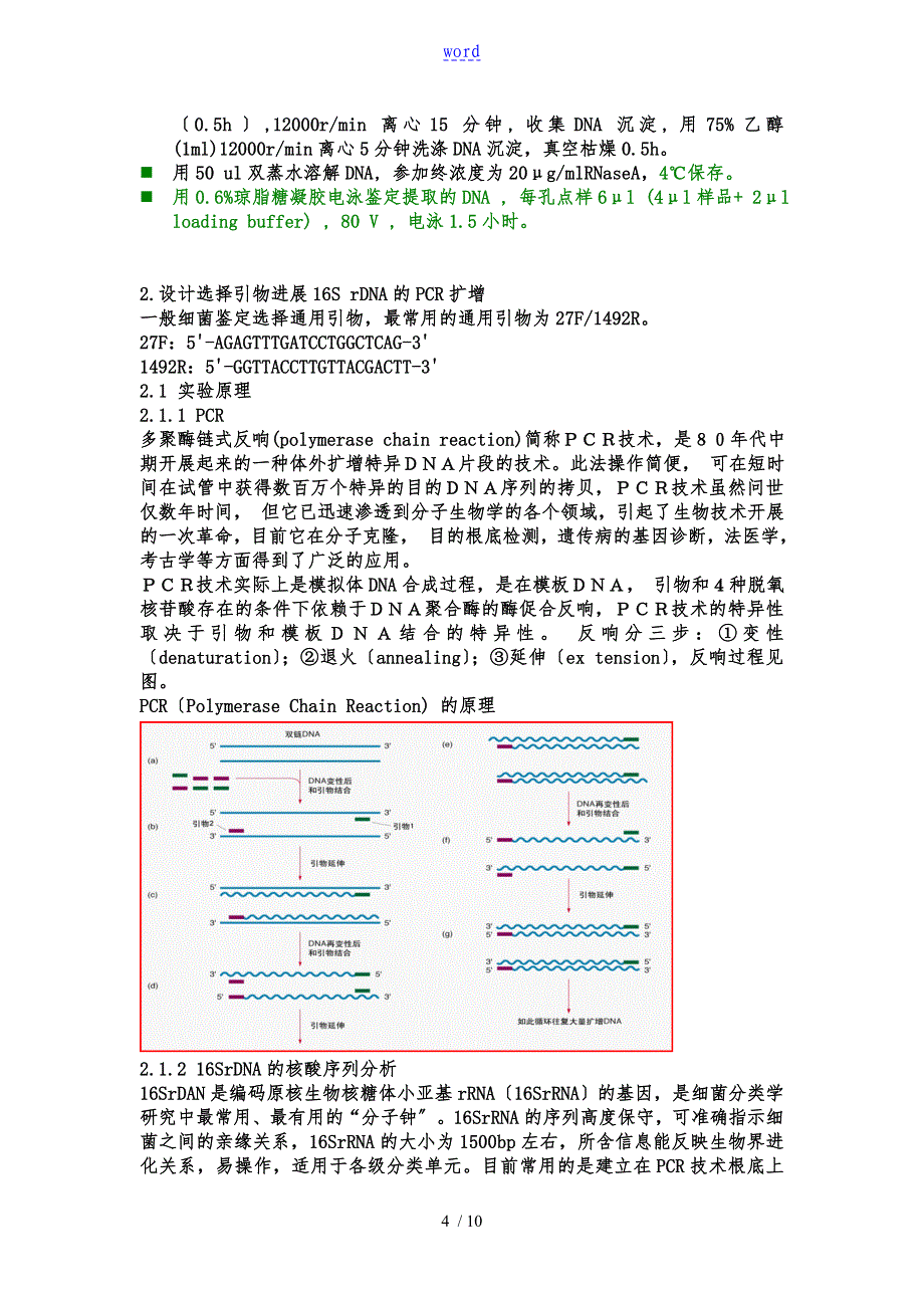 16SrDNA鉴定细菌地方法_第4页