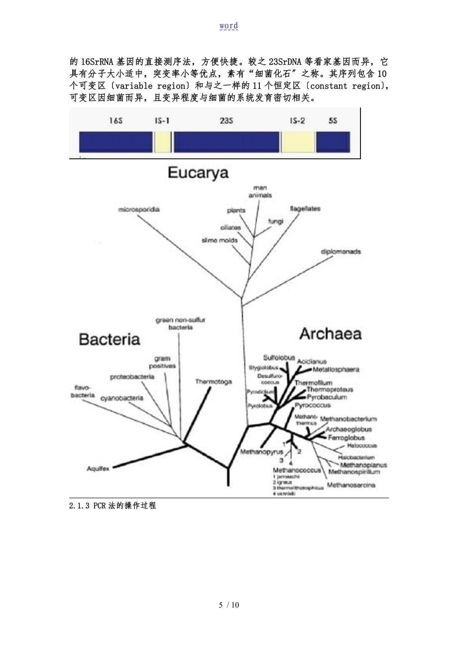 16SrDNA鉴定细菌地方法_第5页