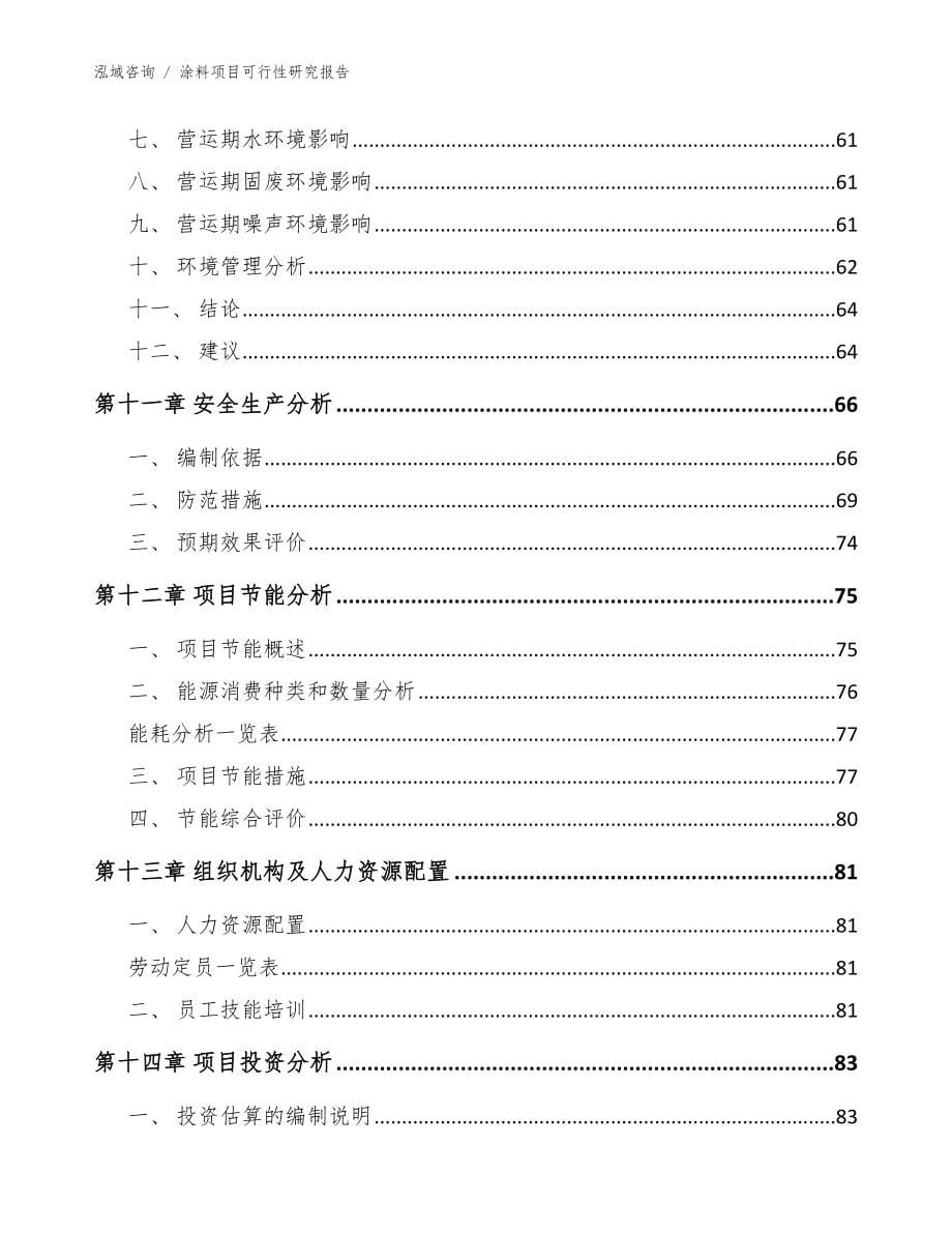 涂料项目可行性研究报告_范文模板_第5页