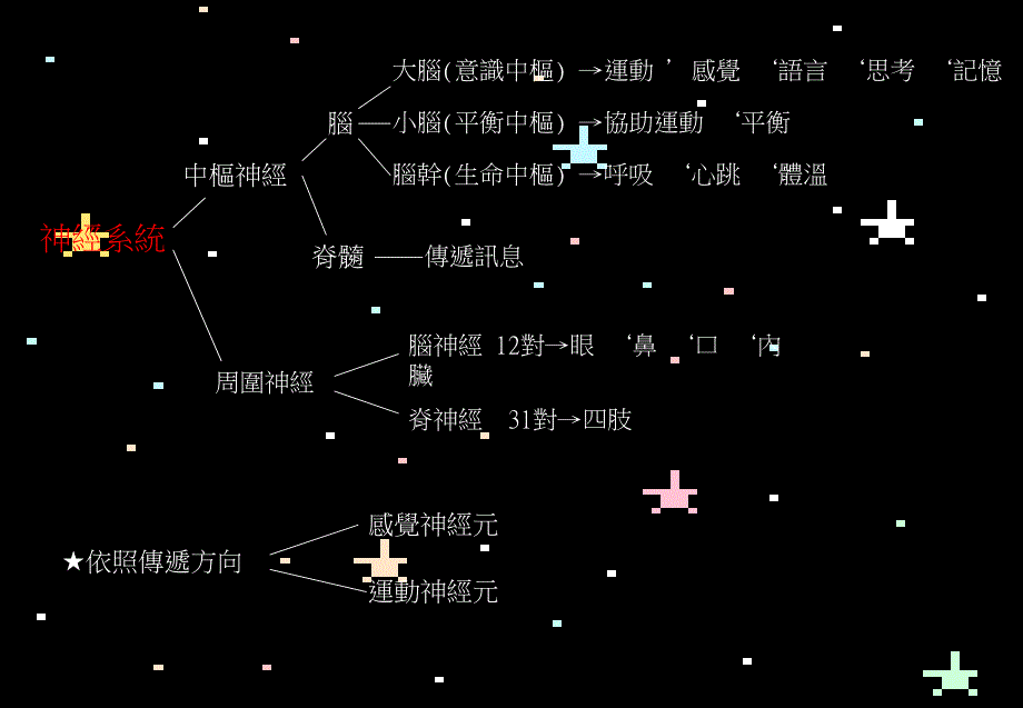 医学课件神经系统与动物行为_第3页