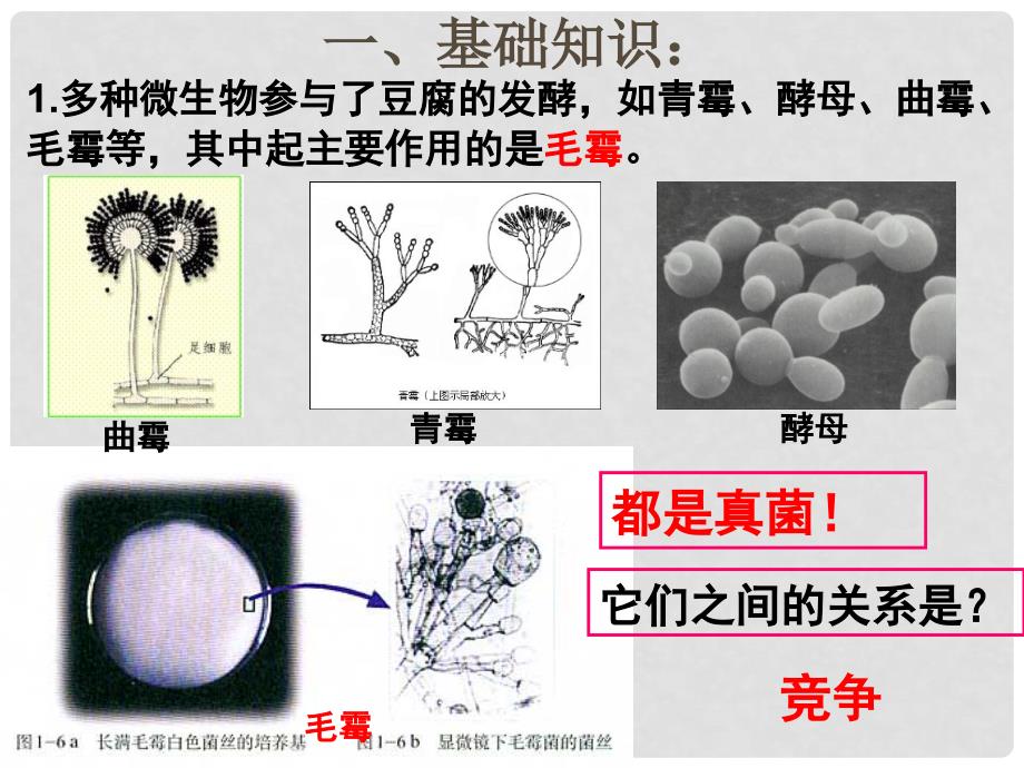 广东省台山市高中生物 专题一 传统发酵技术的应用 1.2 腐乳的制作 1.3 制作泡菜并检测亚硝酸盐含量课件 新人教版选修1_第2页