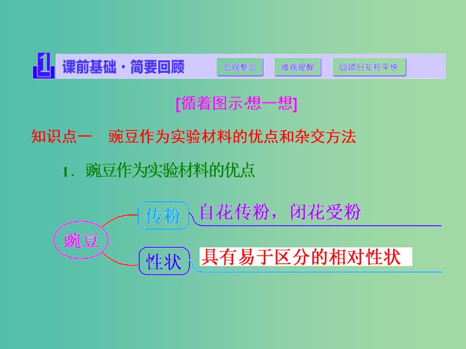 高考生物一轮复习 第一单元 第1讲 孟德尔的豌豆杂交实验（一）课件 新人教版必修2.ppt_第3页