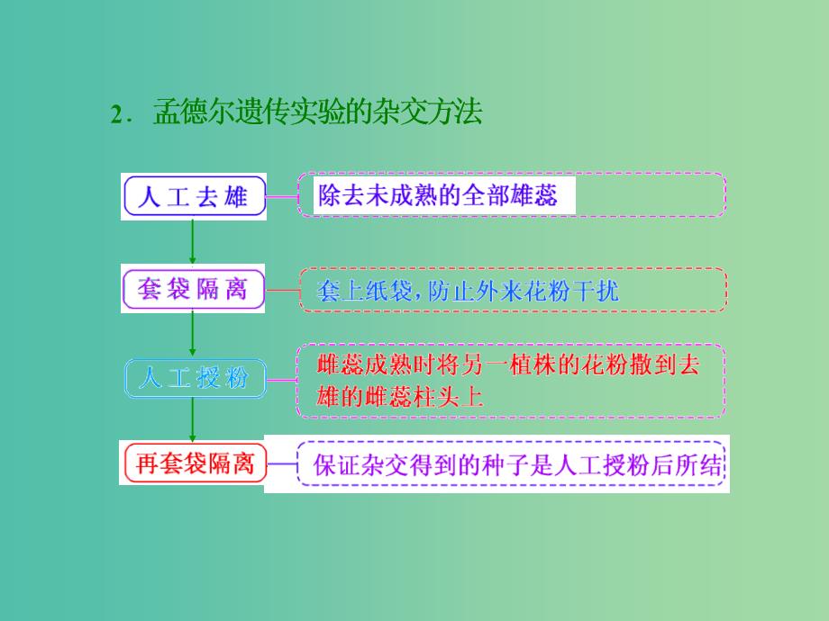 高考生物一轮复习 第一单元 第1讲 孟德尔的豌豆杂交实验（一）课件 新人教版必修2.ppt_第4页