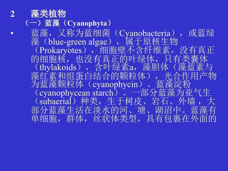 第六章植物多样性部分1_第5页