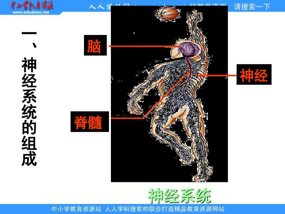 沿橡皮的轮廓在纸上画一个图形_第3页