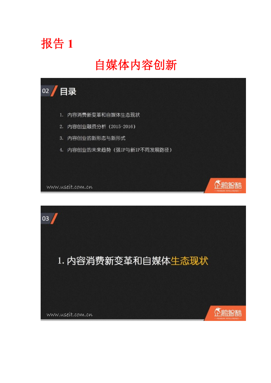 中国内容营销行业报告_第2页