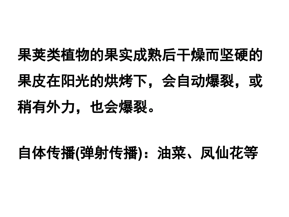 《把种子散播到远处》_第4页