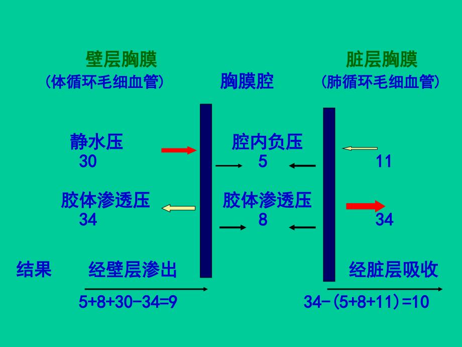 胸腔积液.ppt1_第4页