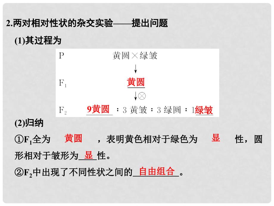 高考生物总复习 第三单元 孟德尔定律、伴性遗传及人类遗传病与健康 第10讲 自由组合定律课件_第3页