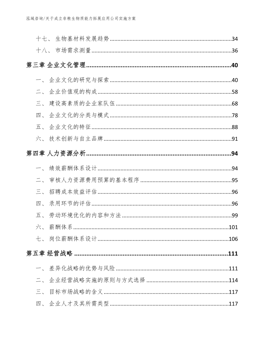 关于成立非粮生物质能力拓展应用公司实施方案（模板范文）_第4页