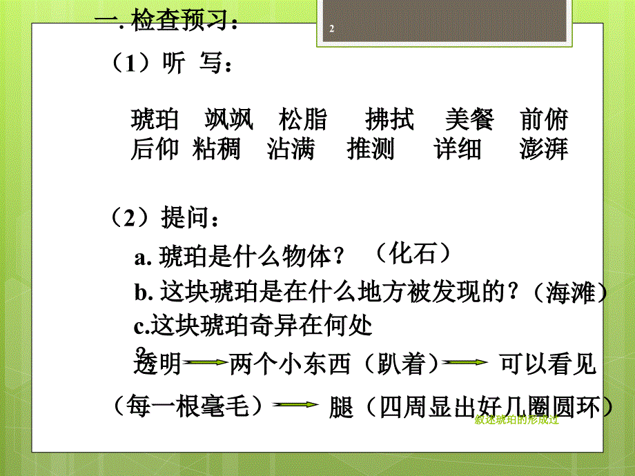 叙述琥珀的形成过课件_第2页