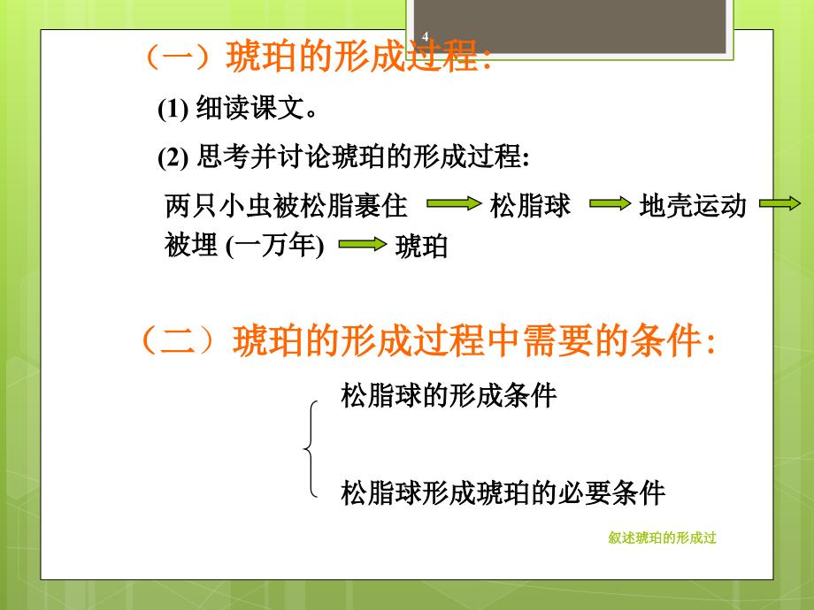 叙述琥珀的形成过课件_第4页