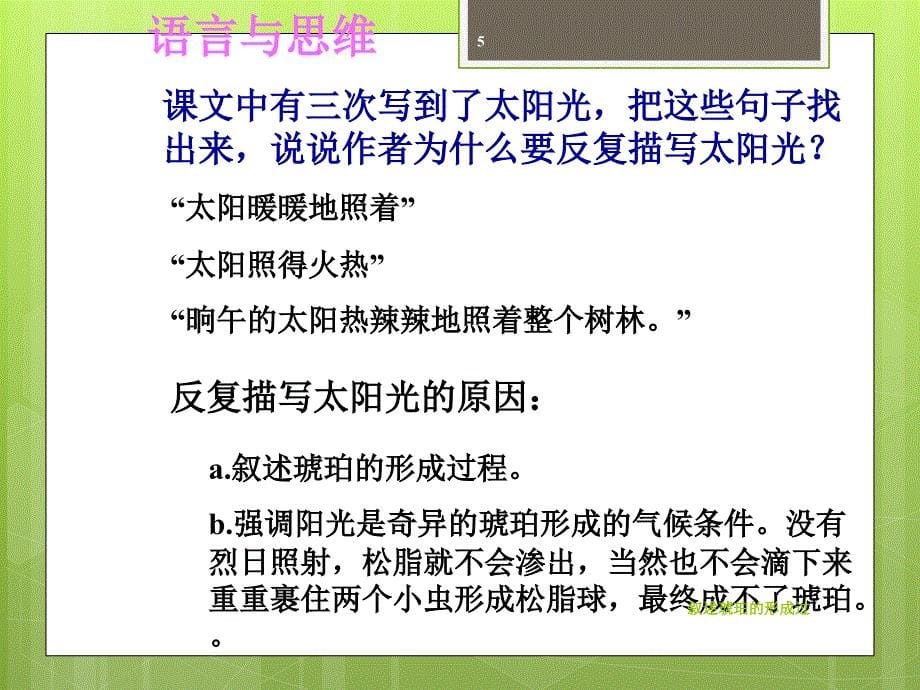 叙述琥珀的形成过课件_第5页