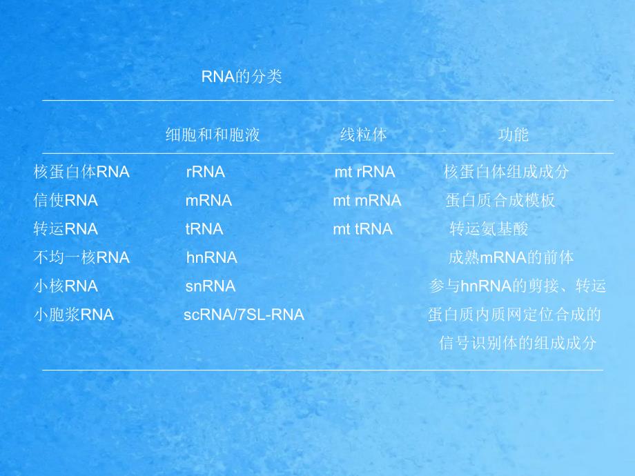 新发现的微RNA世界ppt课件_第4页