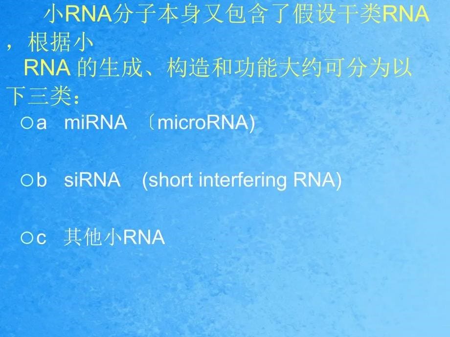 新发现的微RNA世界ppt课件_第5页