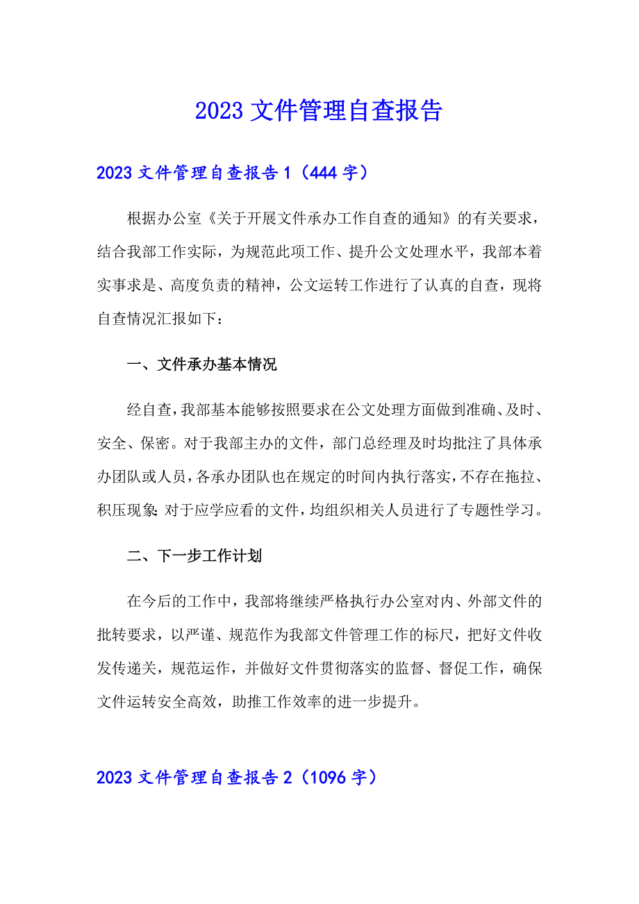 2023文件管理自查报告_第1页