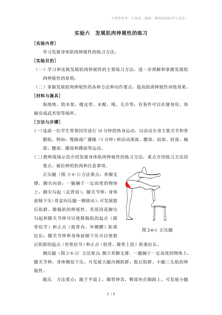 人体解剖学实验六发展肌肉伸展性练习_第1页