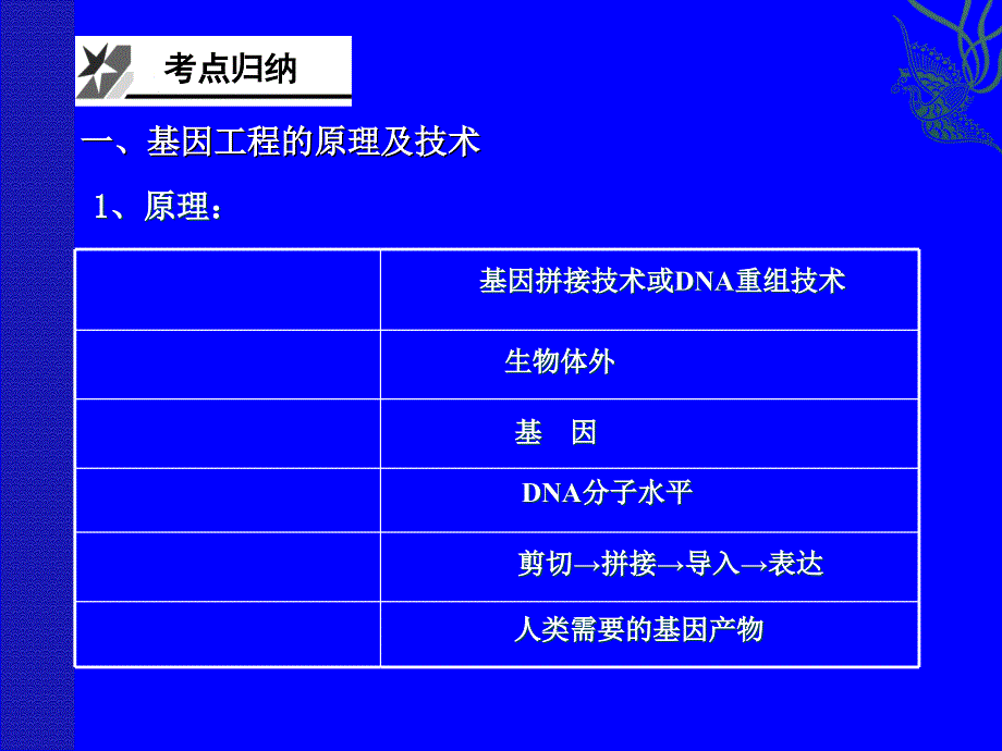 一轮复习基因工程_第2页