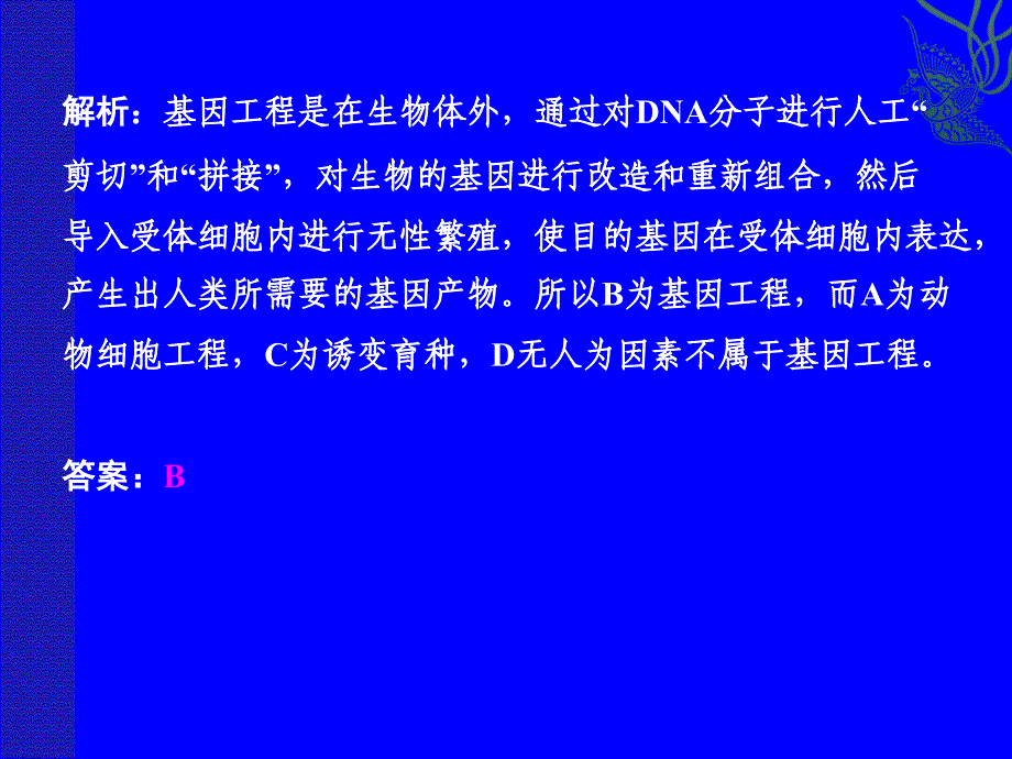 一轮复习基因工程_第4页