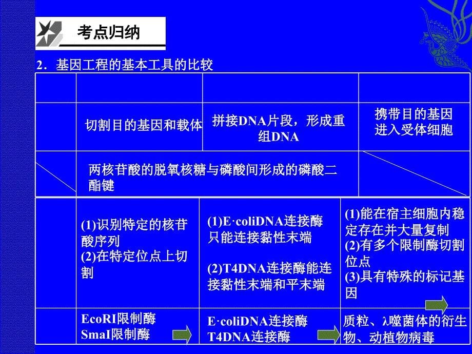 一轮复习基因工程_第5页