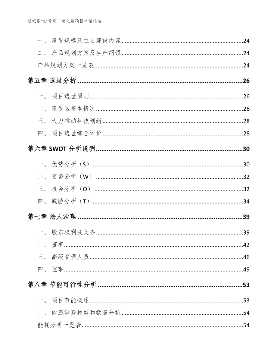 贵州二硫化碳项目申请报告_第2页