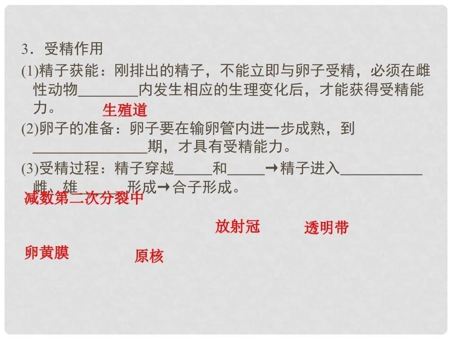 安徽省高考生物总复习 专题3 胚胎工程配套课件 新人教版选修3_第5页